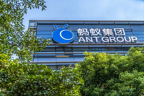 中国最大民企诞生 市值4.9万亿背后的行业变局与阿里的“冤屈”真相